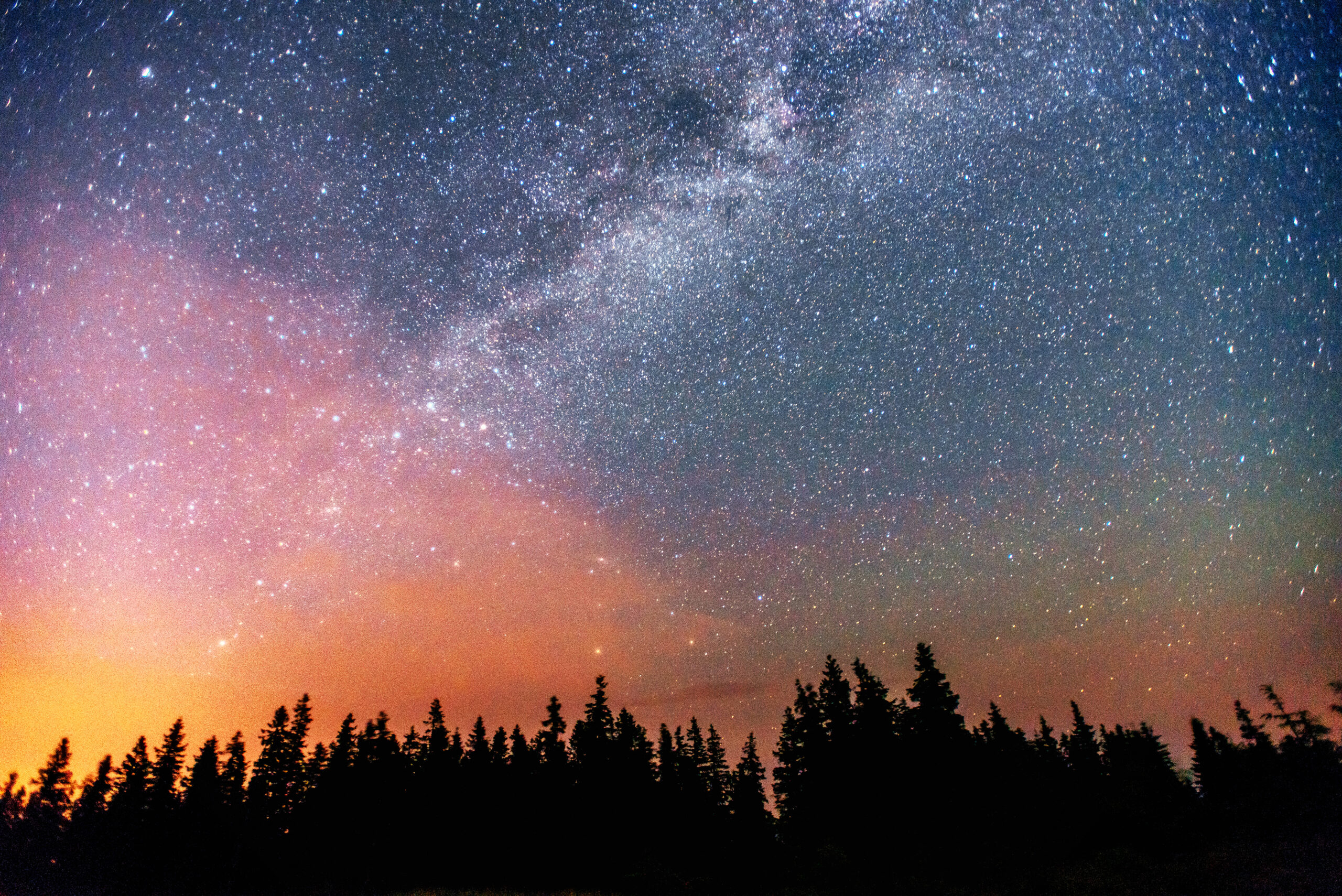 Photo of the Milky Way galaxy within a starry and colorful sky, with the silhouettes of trees in the foreground.