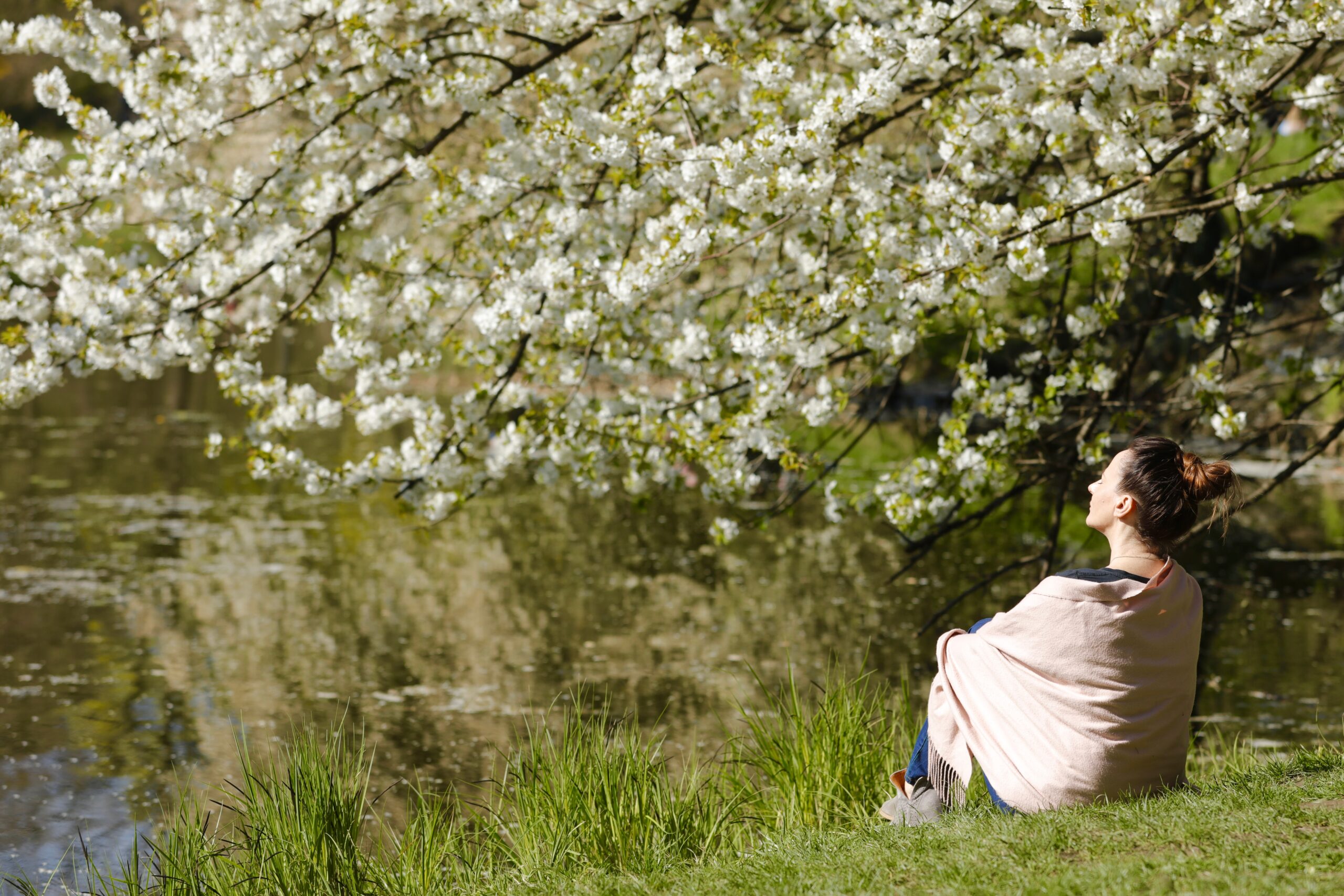 Photo of a woman wrapped in a blanket, sitting outside under a spring-blooming tree, looking tranquilly out over a pond.