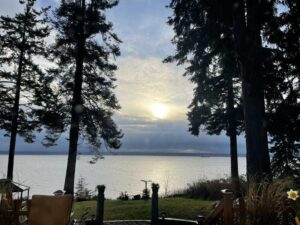 Photo of a setting sun over the Puget sound, with tall trees silhouetted in the foreground.