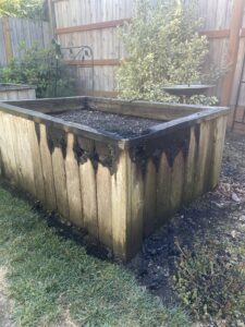 Photo of a charred wooden garden bed surrounded by grass and a fence behind it.