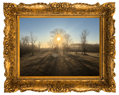 Image of a barren field in Winter, with the sun shining through bare branches in a tree.